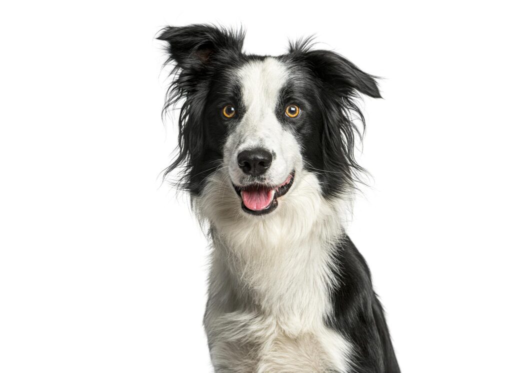 Home 1 mawnp5i3EJljwwRT7vhD AvZmx7iq7zUTDRqQIRc2EG1uFHntVzZqEHQ cAQ6y9N4e1tghYqjXknxigJbxDZpk8thjZSrhscp YPq19halM