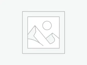 woocommerce placeholder